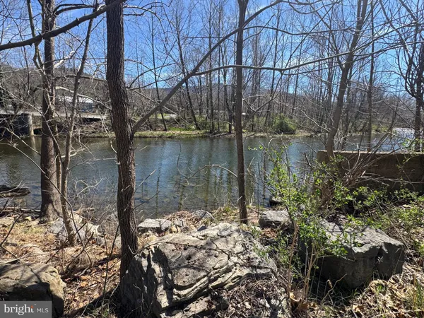 a view of lake with a tree