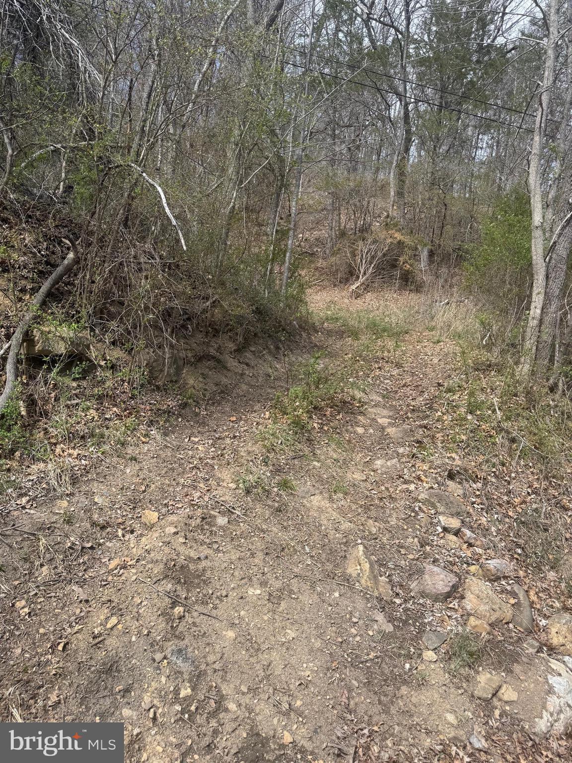 18250 South Fork Road Moorefield, WV 26836 - Photo 63 of 76 a view of a dry yard with trees in the background