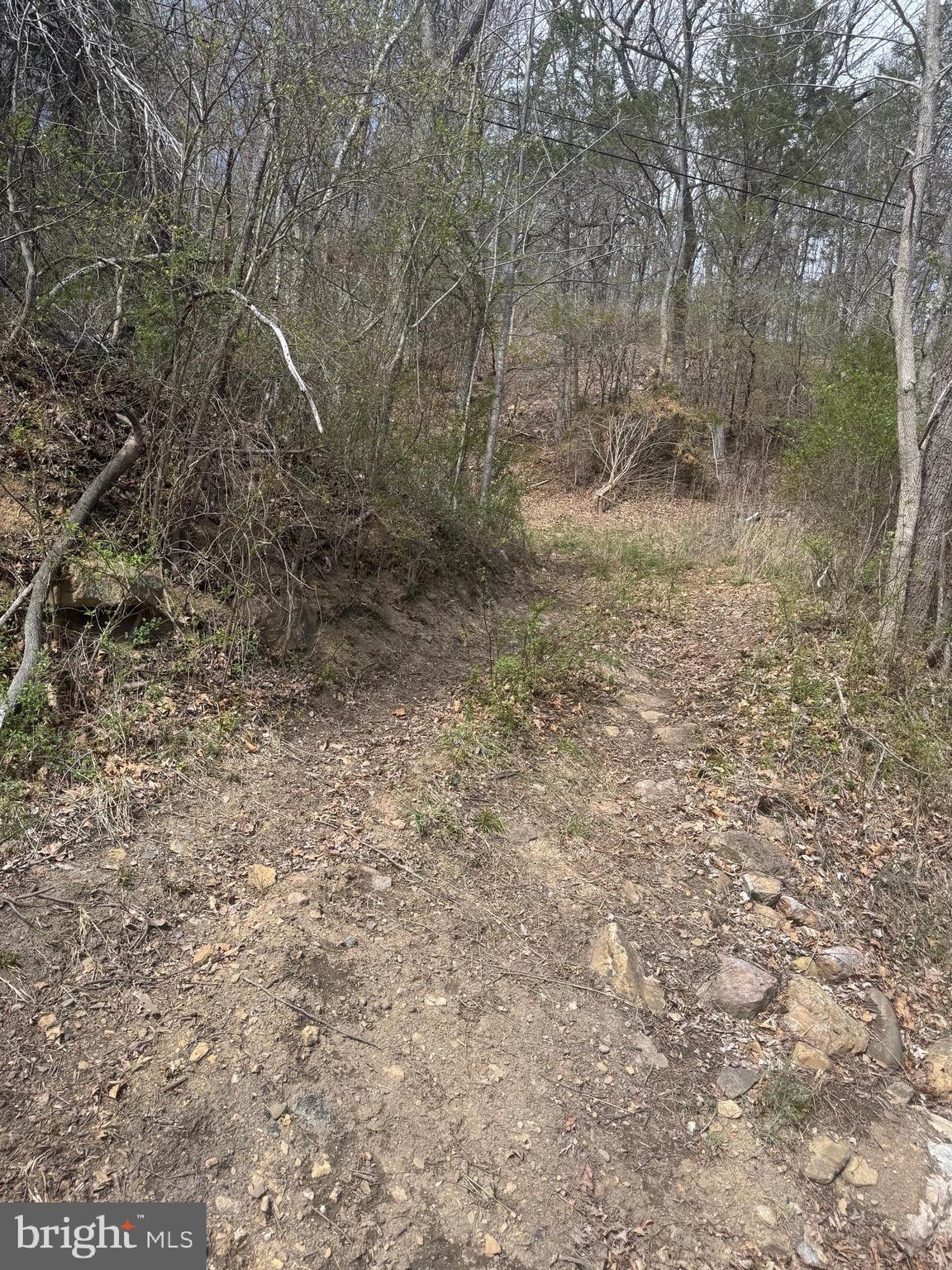 18250 South Fork Road Moorefield, WV 26836 - Photo 64 of 76 a view of a yard with a tree