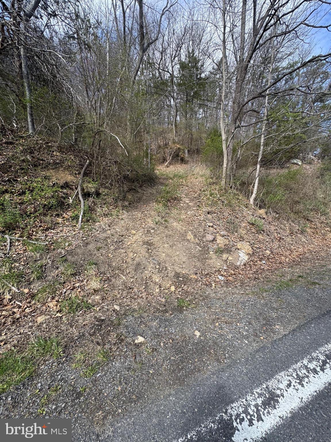 18250 South Fork Road Moorefield, WV 26836 - Photo 65 of 76 a backyard of a house with lots of green space