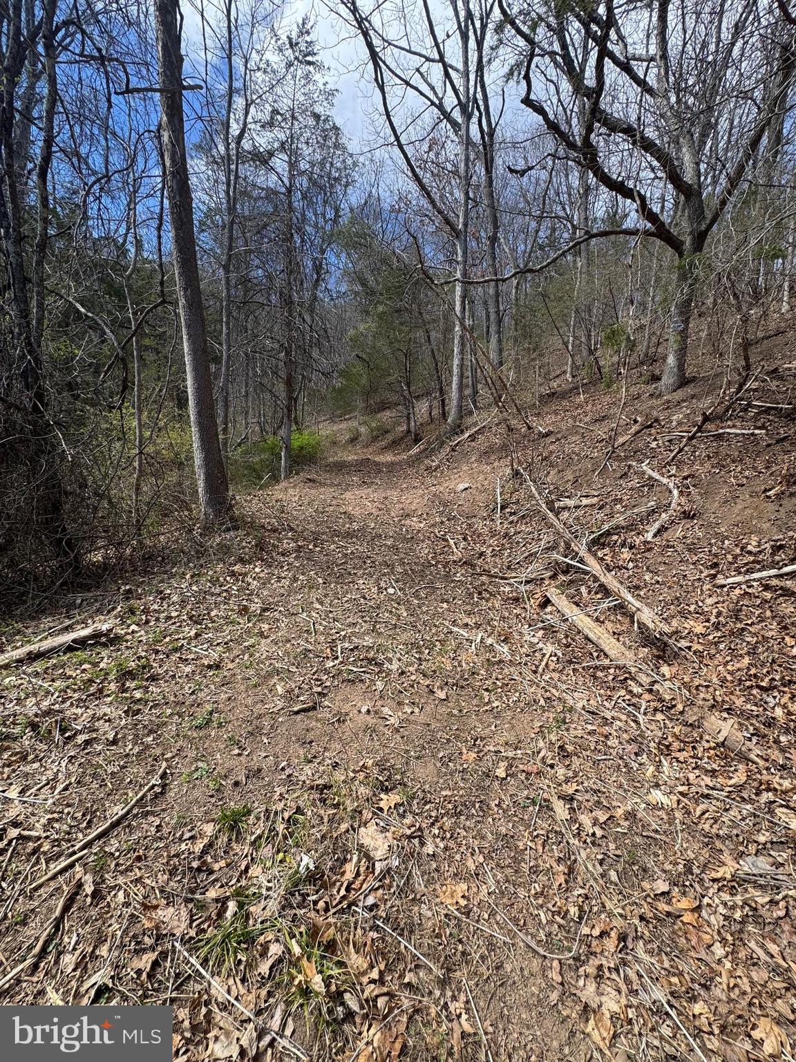 18250 South Fork Road Moorefield, WV 26836 - Photo 66 of 76 a backyard of a house with lots of green space