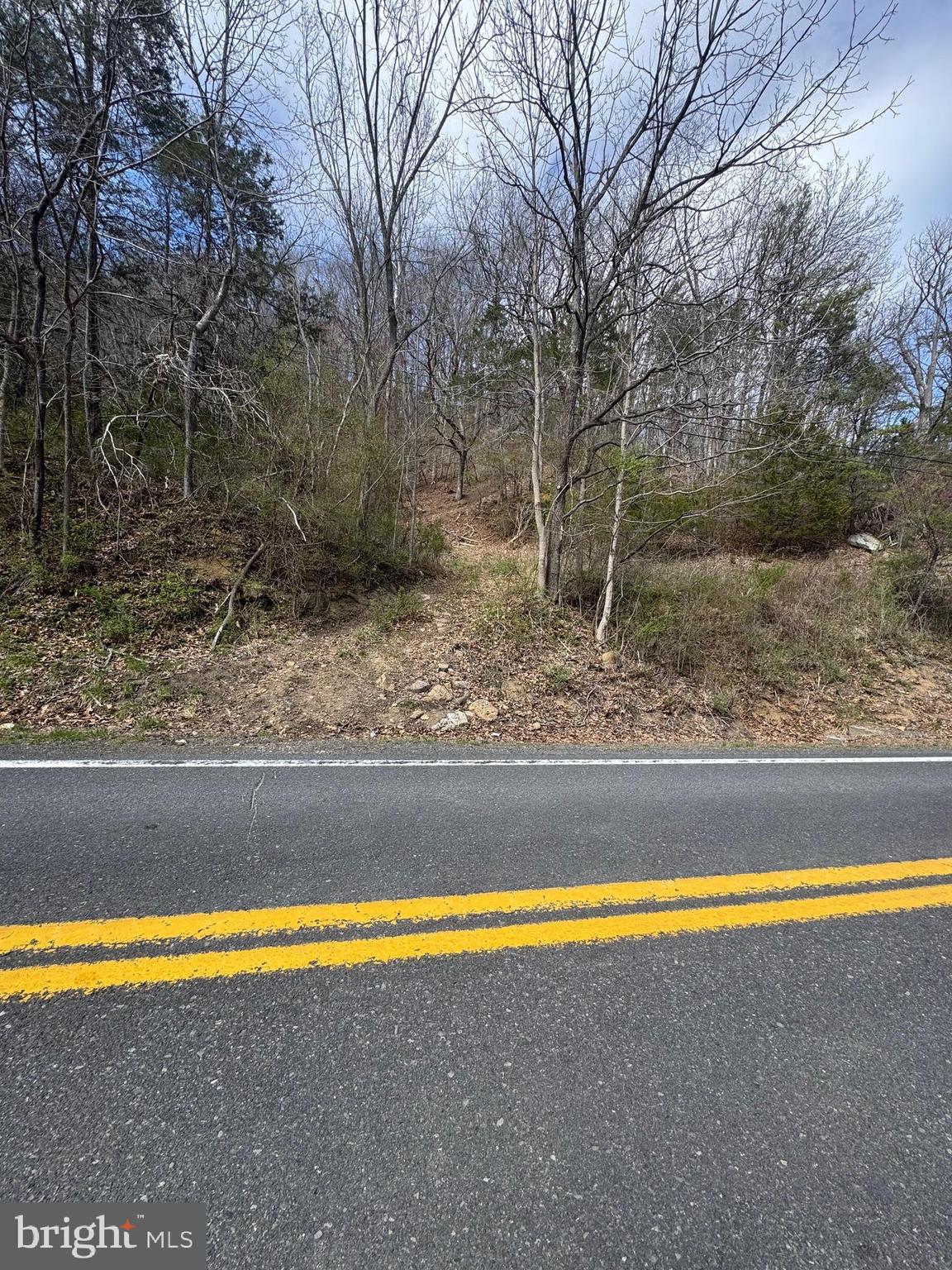 18250 South Fork Road Moorefield, WV 26836 - Photo 67 of 76 a view of a yard with large trees