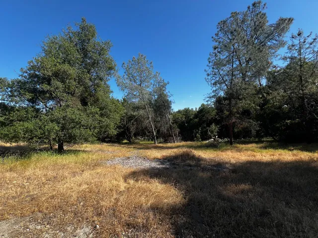 a view of swimming pool with a yard