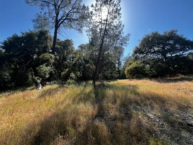 a view of backyard of house with green space