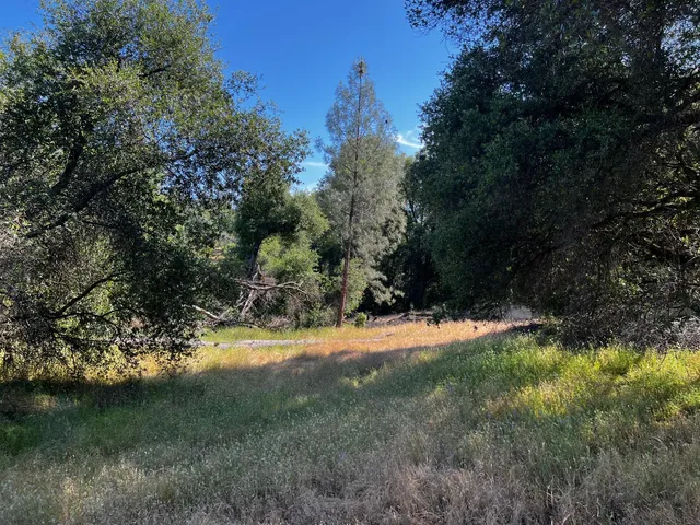 a view of a lake with houses in the background
