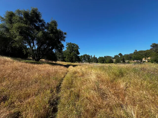 a view of outdoor space and yard