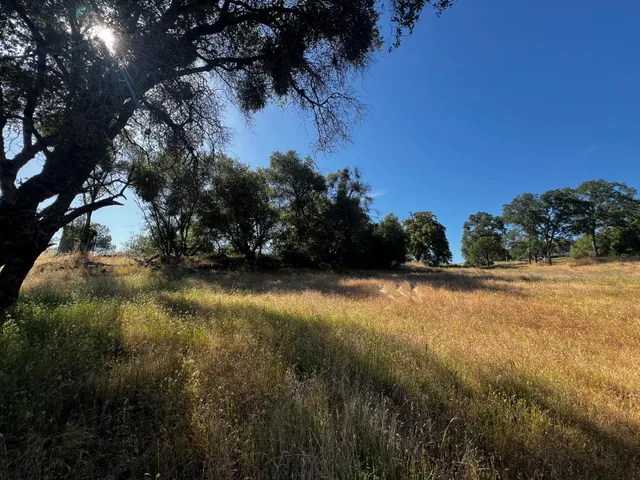a view of basketball court