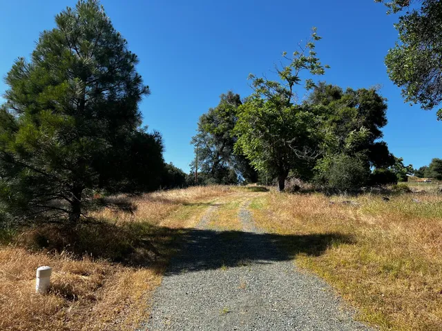 a view of house with backyard space and garden