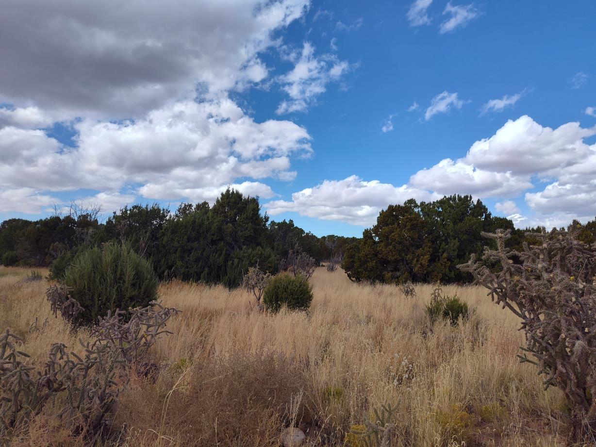 Golf Course Road Mountainair, NM 87036 - Photo 18 of 22 Gallery Image 18