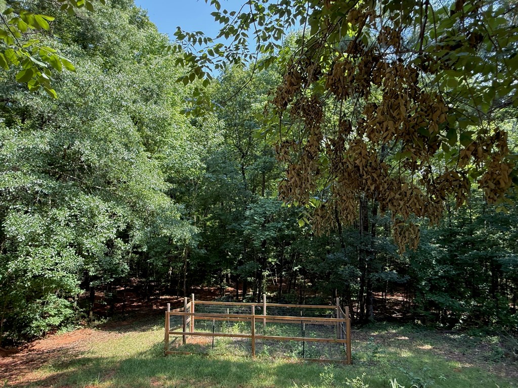 245 Lake Talbot Road Box Springs, GA 31801 - Photo 22 of 31 Gallery Image 22