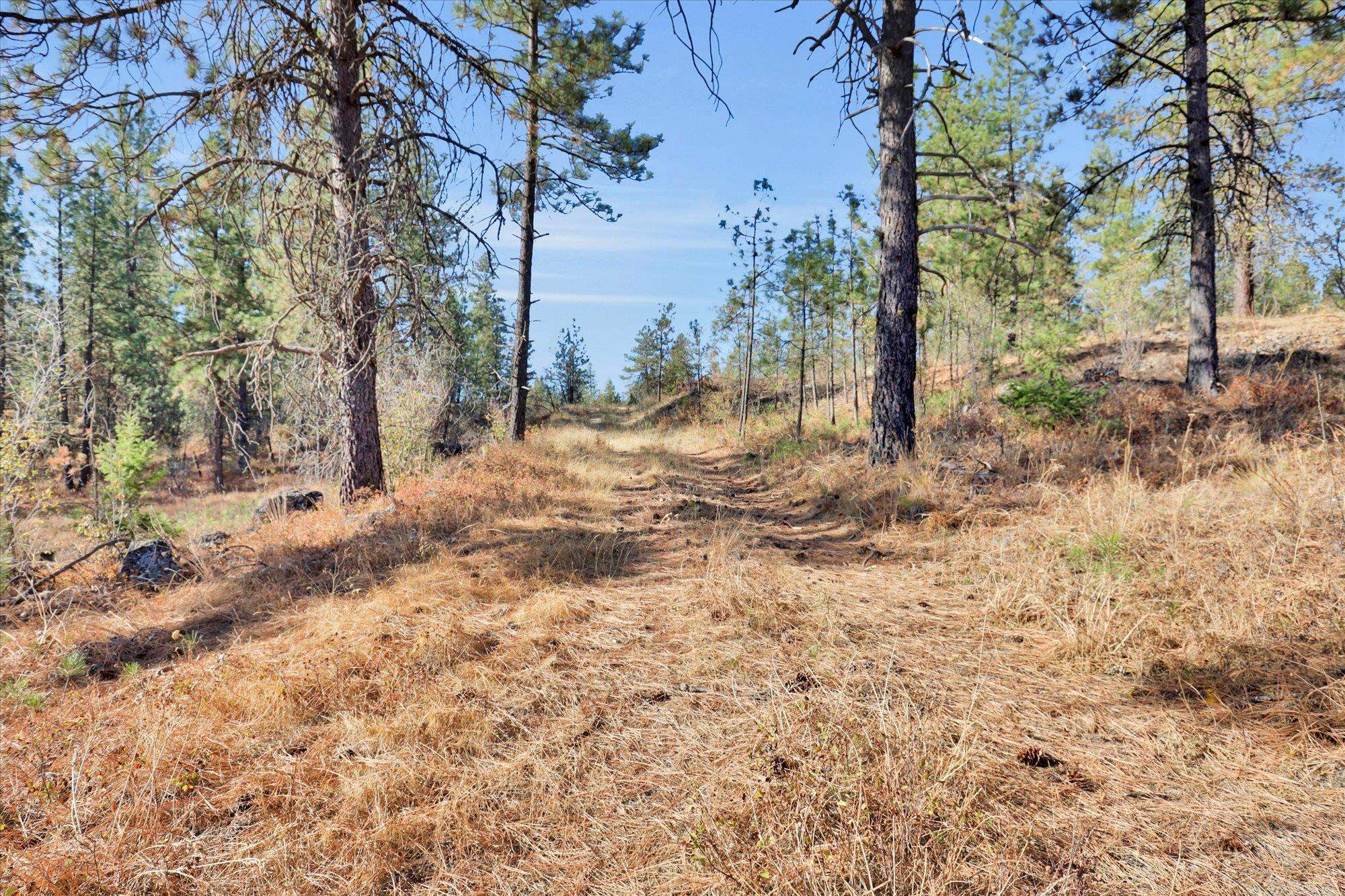 Tbd South Scribner Road, Unit PARCEL #24272 9065 Cheney, WA 99004 - Photo 16 of 26