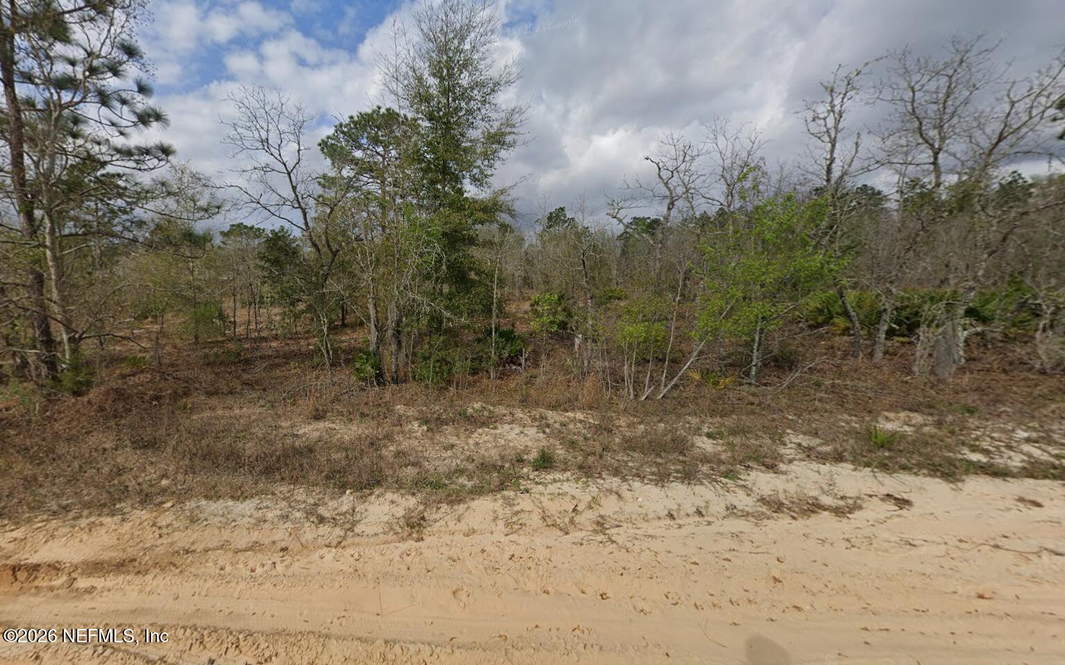 121 Akron Street Interlachen, FL 32148 - Photo 2 of 2 a view of a yard with trees in the background