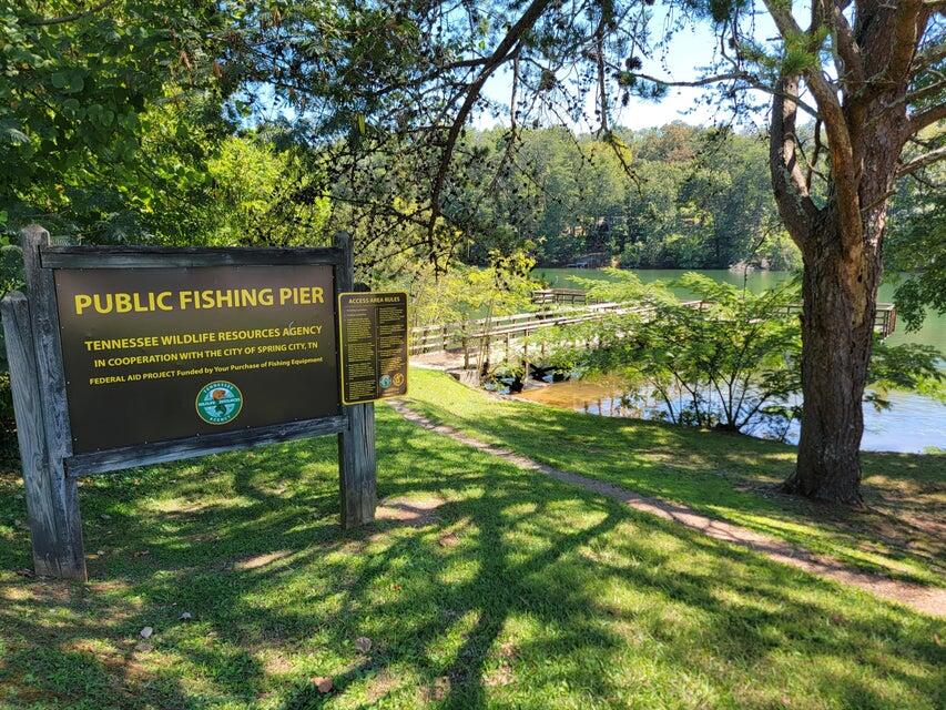 475 Broyles Road Spring City, TN 37381 - Photo 47 of 57 B11