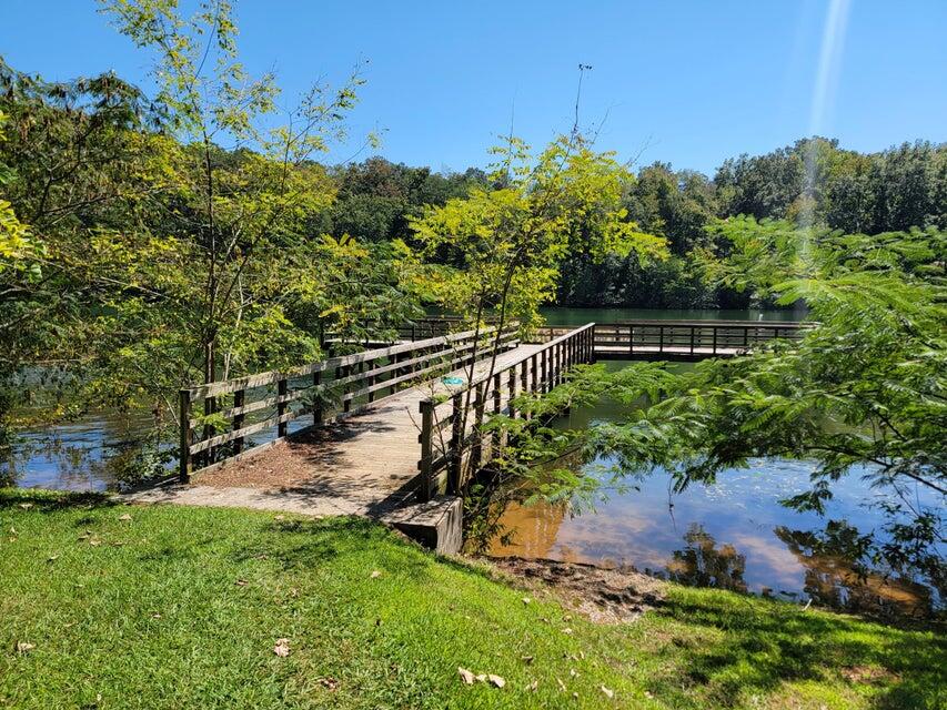 475 Broyles Road Spring City, TN 37381 - Photo 48 of 57 B10