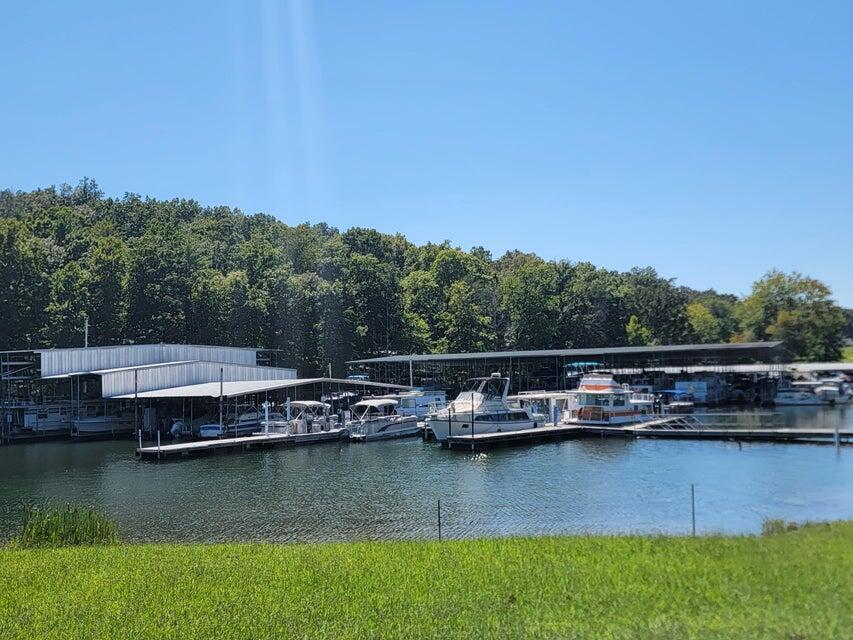 475 Broyles Road Spring City, TN 37381 - Photo 51 of 57 B7