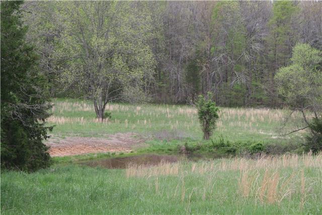 969 Steele Road Charlotte, TN 37036 - Photo 7 of 10 Gallery Image 7
