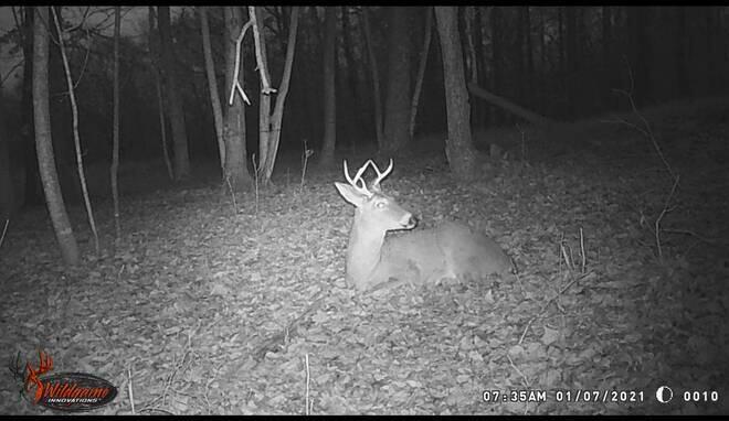 560 C C Riddle Road Burkesville, KY 42717 - Photo 6 of 32 20241217185210348367000000-o