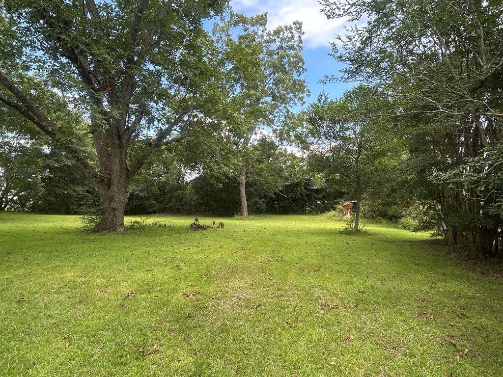 1425 Forrester Road Dothan, AL 36301 - Photo 6 of 26 Gallery Image 6