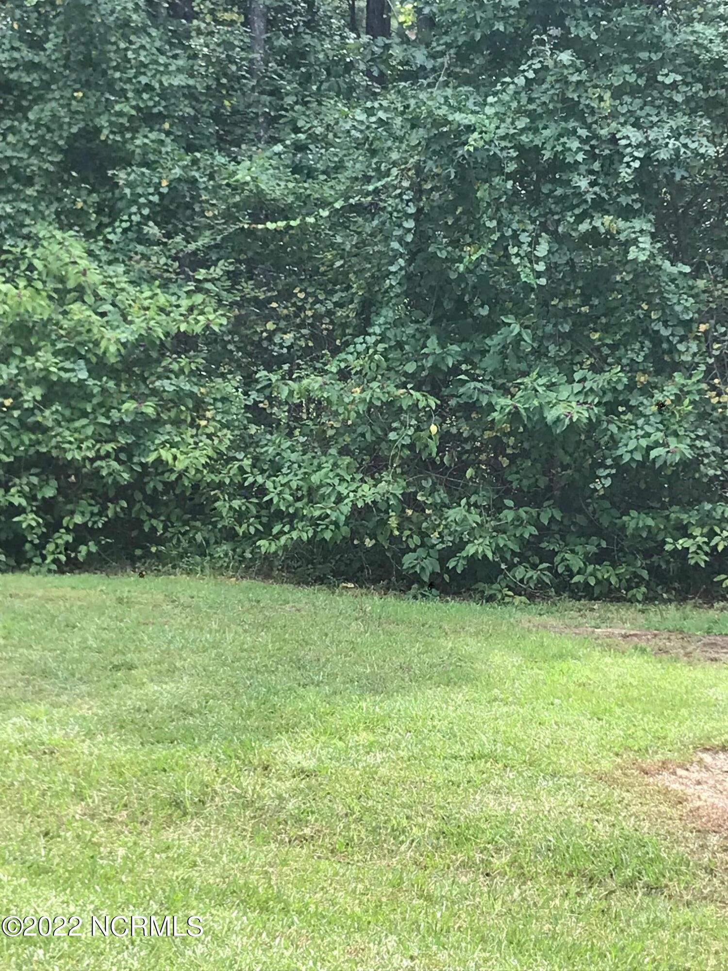 305 Winfall Edenton, NC 27932 - Photo 1 of 10 Lot 133