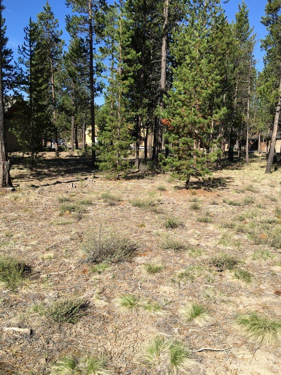 133 Sunstone Loop Bend, OR 97707 - Photo 4 of 20 Looking from the back of the lot to the