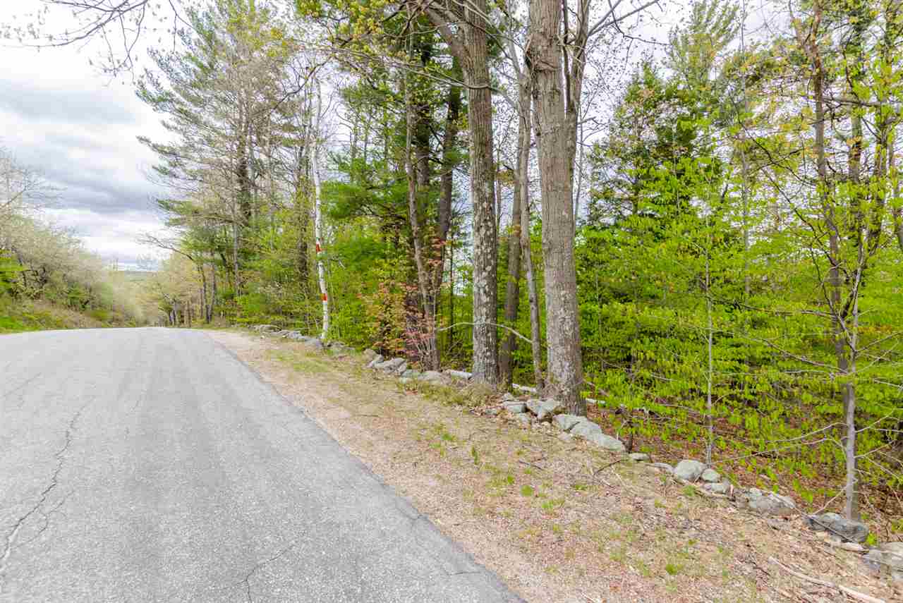 Lot 16 Putnam Road Temple, NH 03084 - Photo 4 of 18