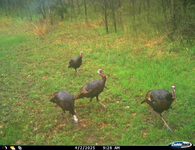 $434,500 | 6745 East Hwy CC, Stockton, MO 65785