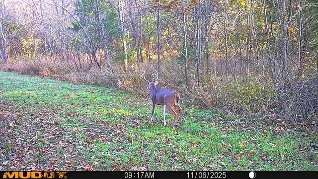 $434,500 | 6745 East Hwy CC, Stockton, MO 65785