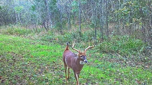 $434,500 | 6745 East Hwy CC, Stockton, MO 65785