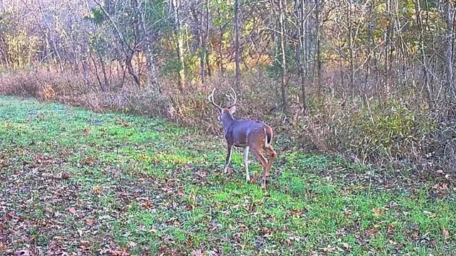 $434,500 | 6745 East Hwy CC, Stockton, MO 65785