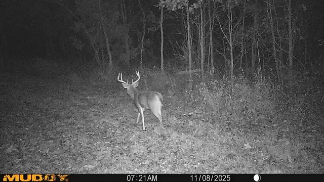 $434,500 | 6745 East Hwy CC, Stockton, MO 65785