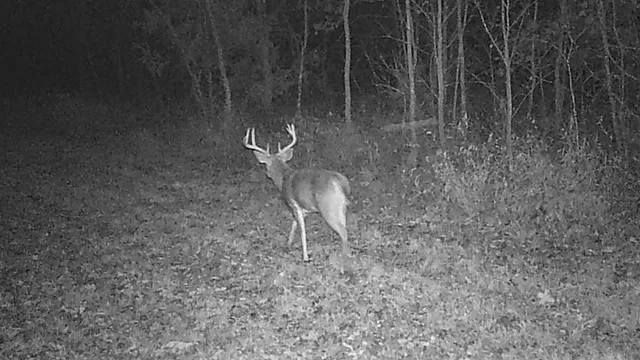 $434,500 | 6745 East Hwy CC, Stockton, MO 65785