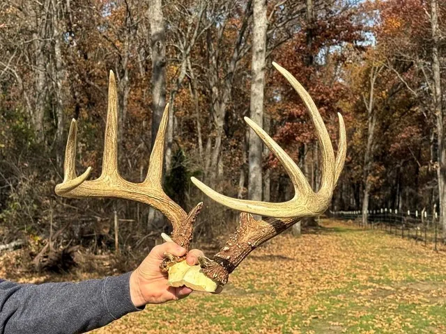 $434,500 | 6745 East Hwy CC, Stockton, MO 65785