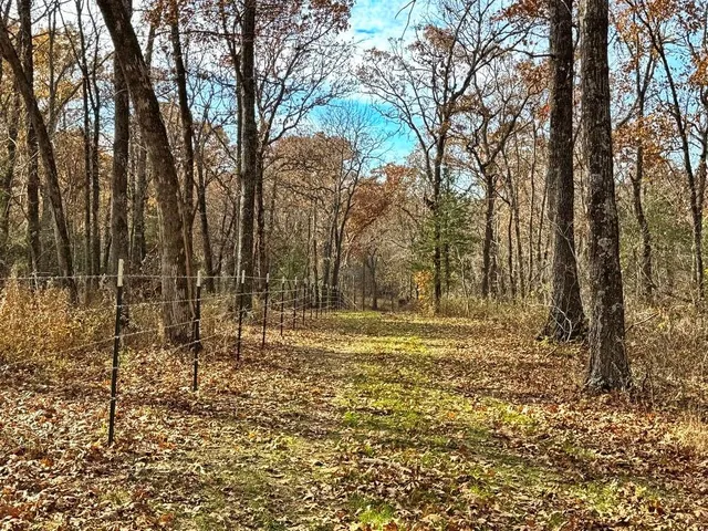 $434,500 | 6745 East Hwy CC, Stockton, MO 65785