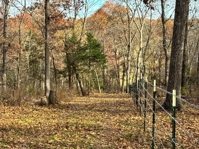 $434,500 | 6745 East Hwy CC, Stockton, MO 65785