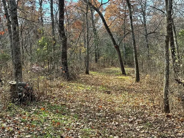 $434,500 | 6745 East Hwy CC, Stockton, MO 65785