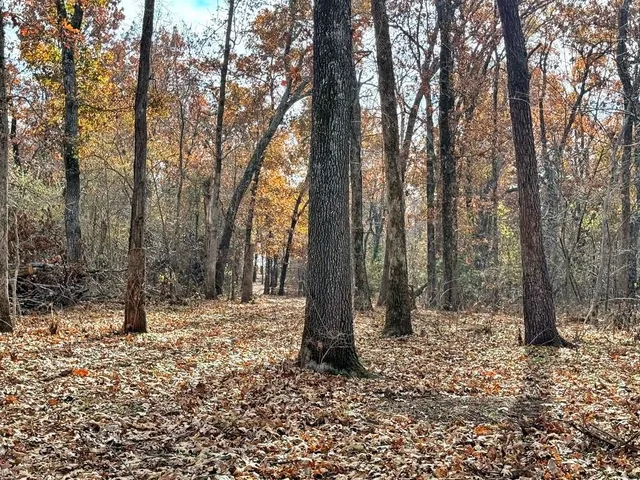 $434,500 | 6745 East Hwy CC, Stockton, MO 65785