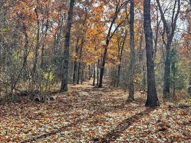 $434,500 | 6745 East Hwy CC, Stockton, MO 65785