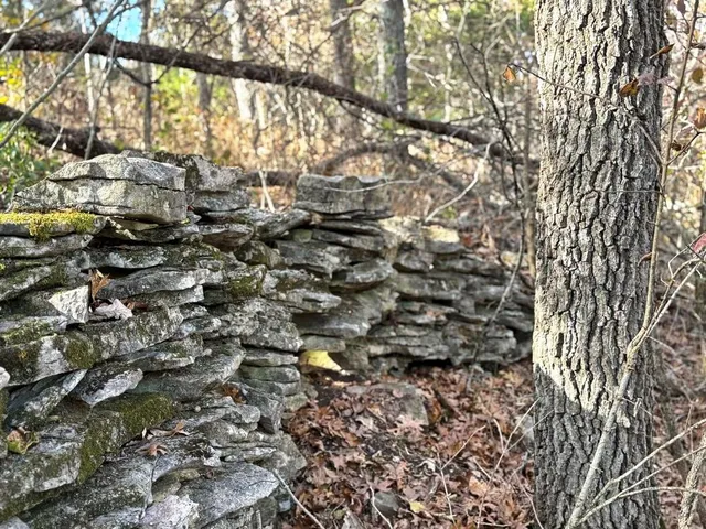 $434,500 | 6745 East Hwy CC, Stockton, MO 65785