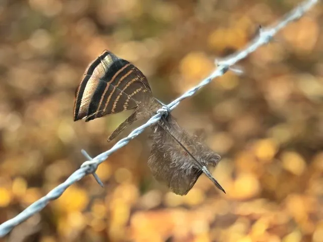 $434,500 | 6745 East Hwy CC, Stockton, MO 65785