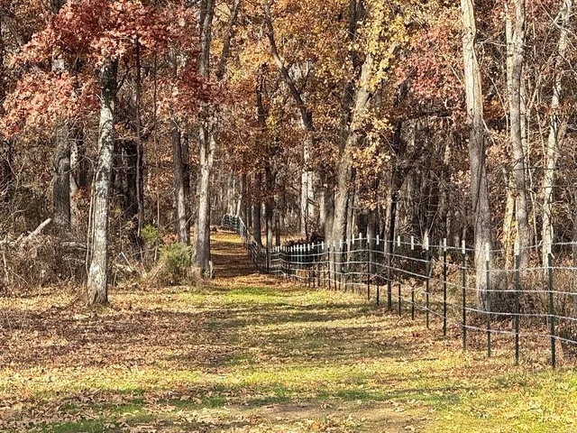 $434,500 | 6745 East Hwy CC, Stockton, MO 65785