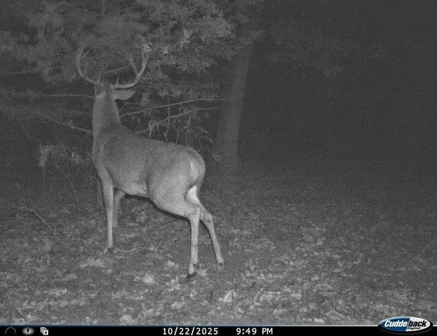 $434,500 | 6745 East Hwy CC, Stockton, MO 65785