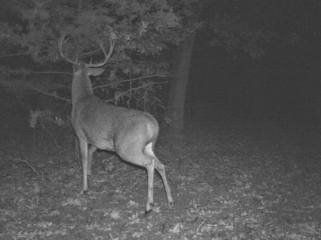 $434,500 | 6745 East Hwy CC, Stockton, MO 65785