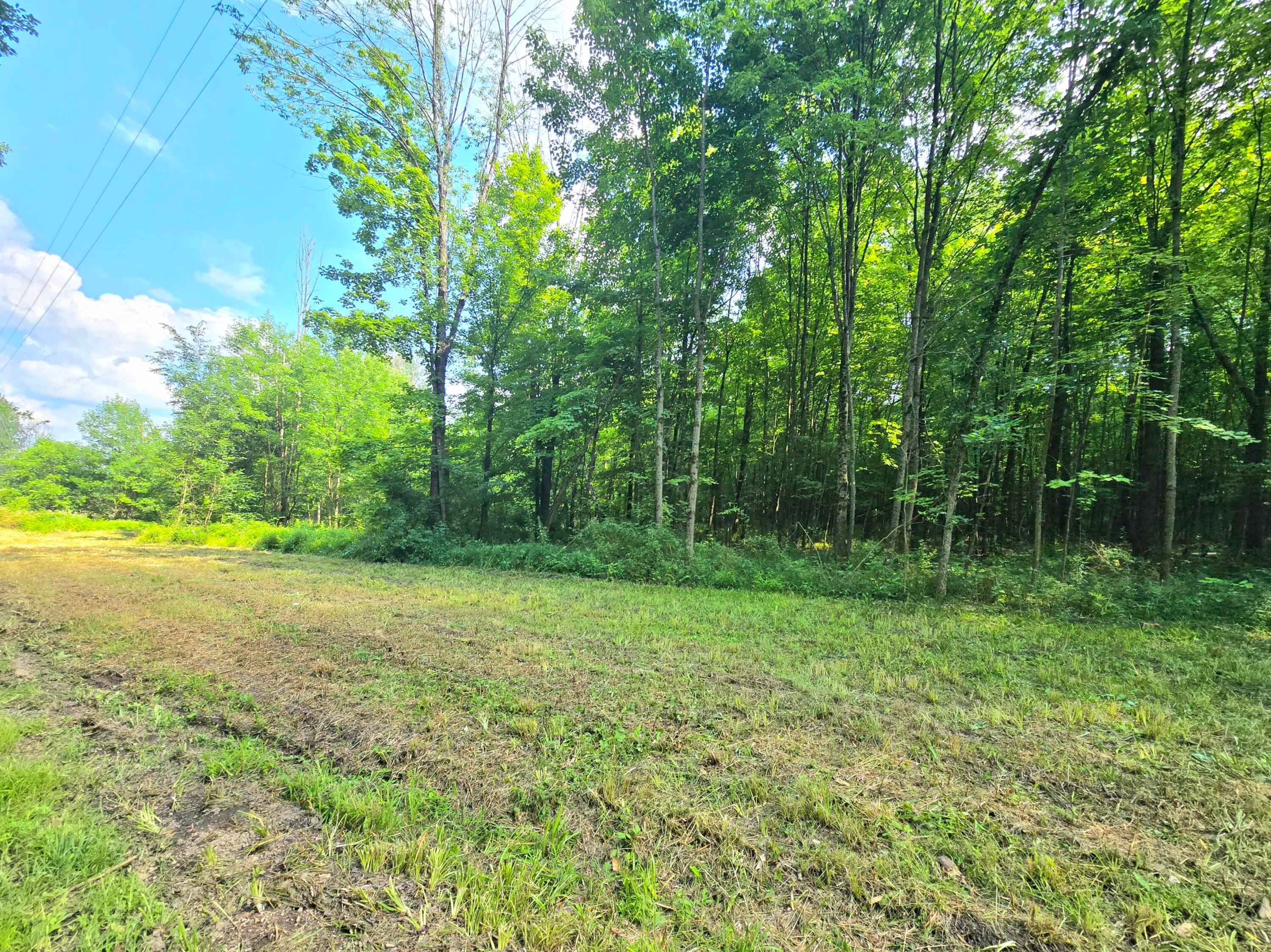 9026 Gregg Road Fredericktown, OH 43019 - Photo 15 of 17 1000062289
