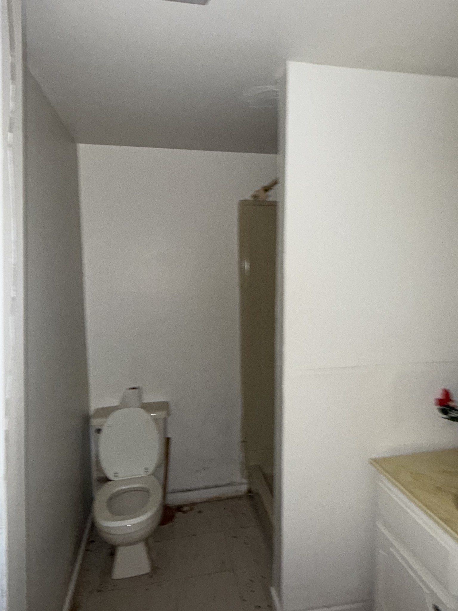 8475 Crawley Hill Road Mount Pleasant, TN 38474 - Photo 29 of 41 a bathroom with a toilet and a vanity