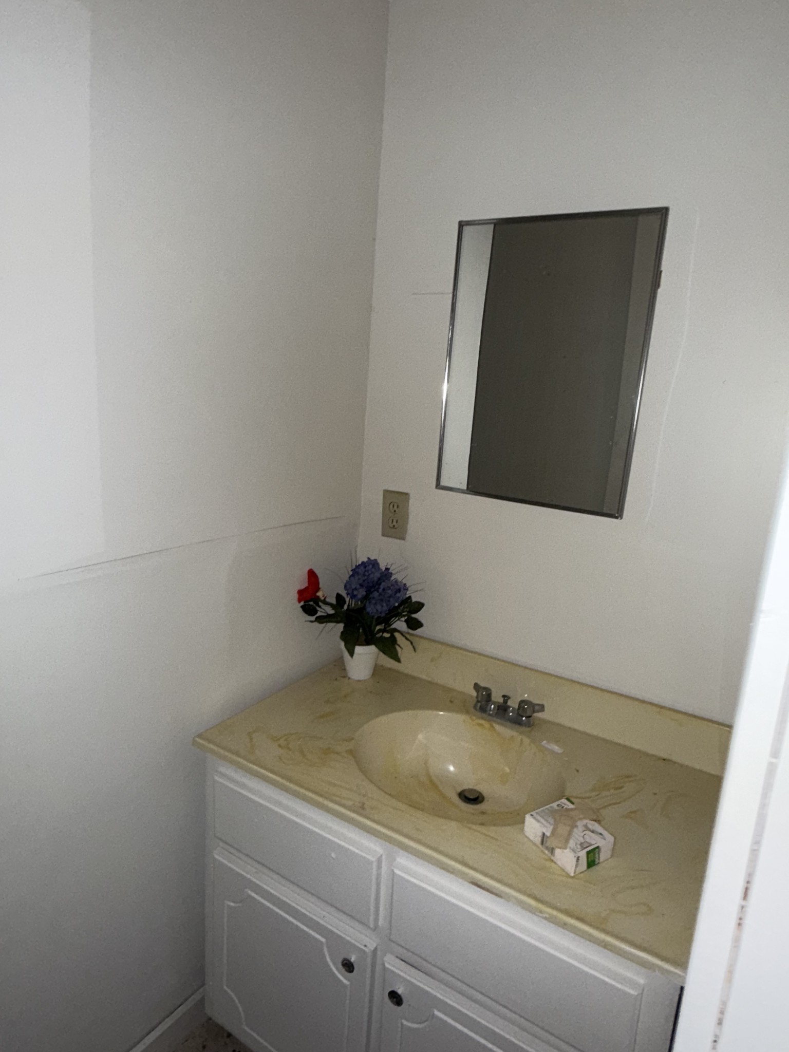 8475 Crawley Hill Road Mount Pleasant, TN 38474 - Photo 31 of 41 a bathroom with a sink and a mirror