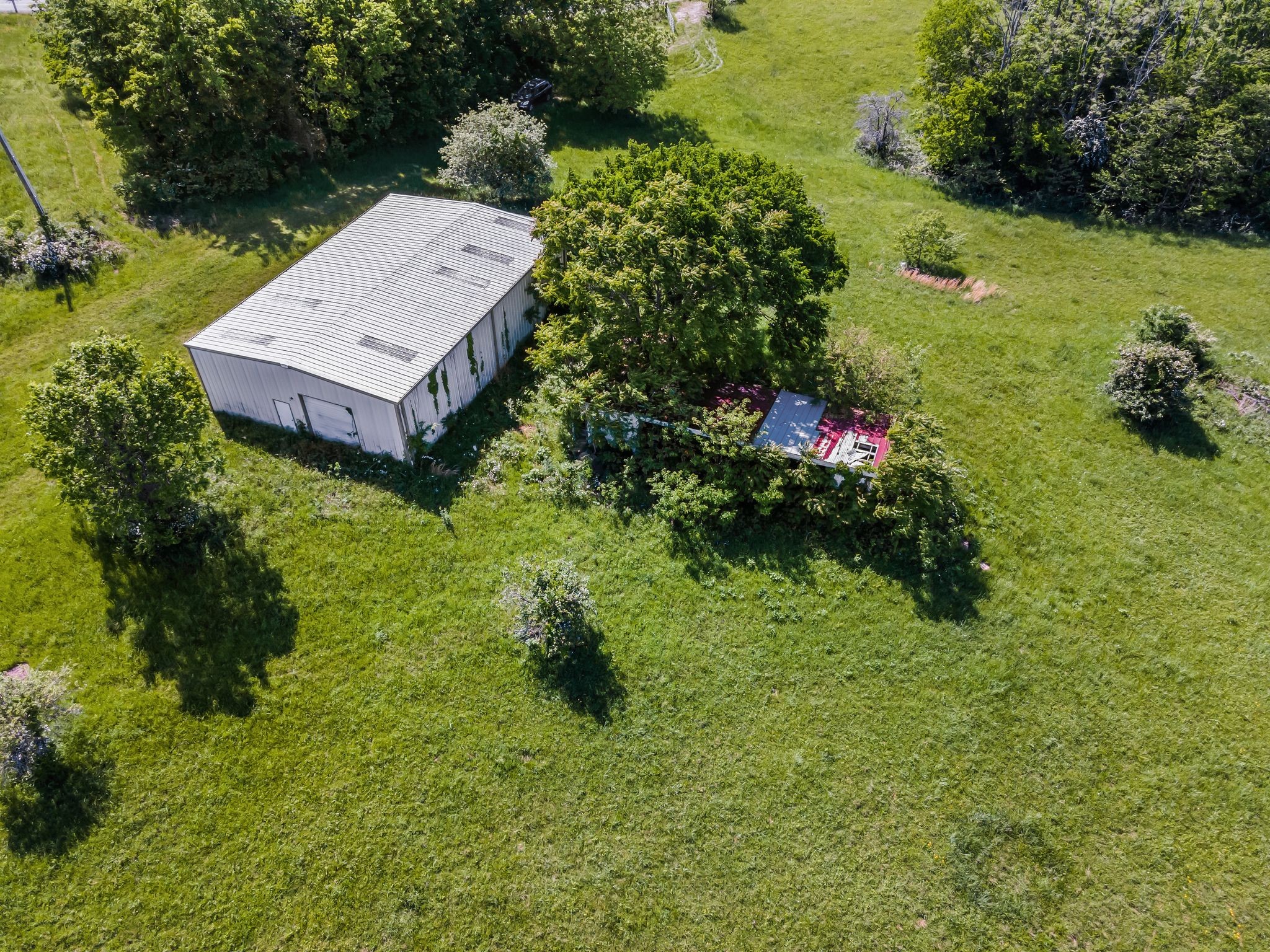 8475 Crawley Hill Road Mount Pleasant, TN 38474 - Photo 4 of 41