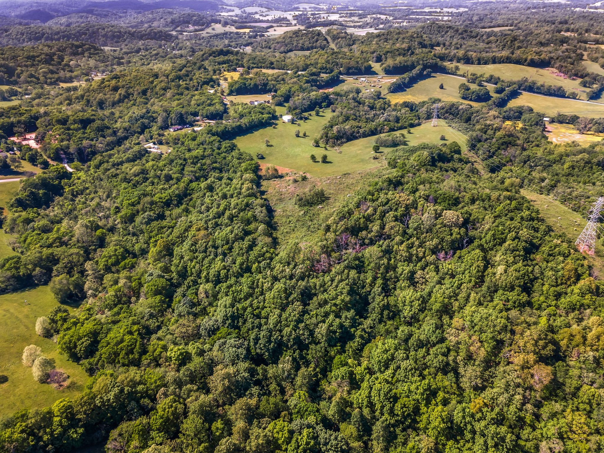 8475 Crawley Hill Road Mount Pleasant, TN 38474 - Photo 6 of 41 an aerial view of residential houses with outdoor space and trees