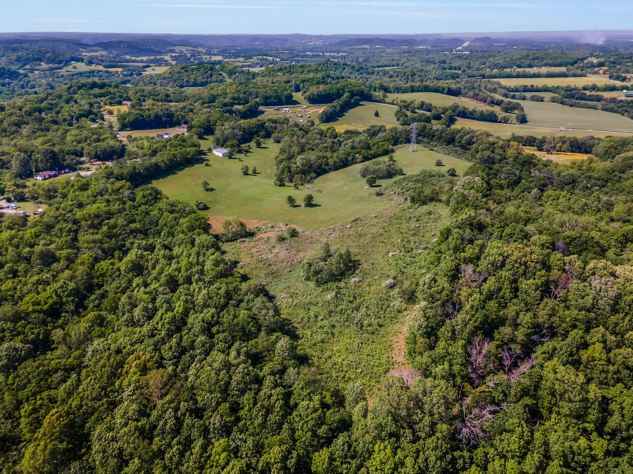 8475 Crawley Hill Road Mount Pleasant, TN 38474 - Photo 7 of 41 a view of a city with lush green forest