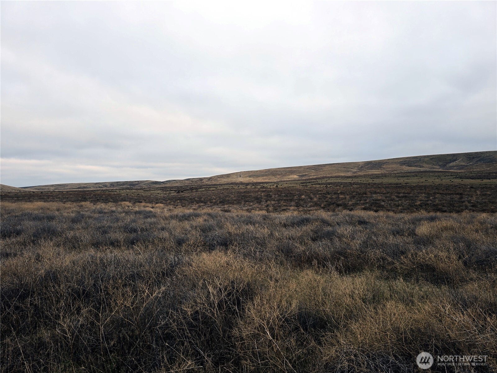 4200 Wadsworth Road Washtucna, WA 99371 - Photo 5 of 28
