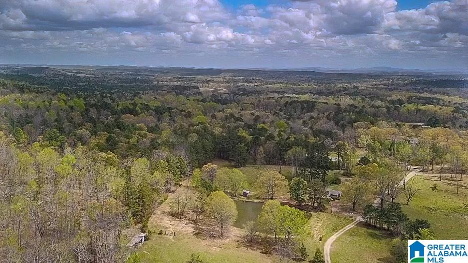 346 Hunters Lane Vandiver, AL 35176 - Photo 9 of 38